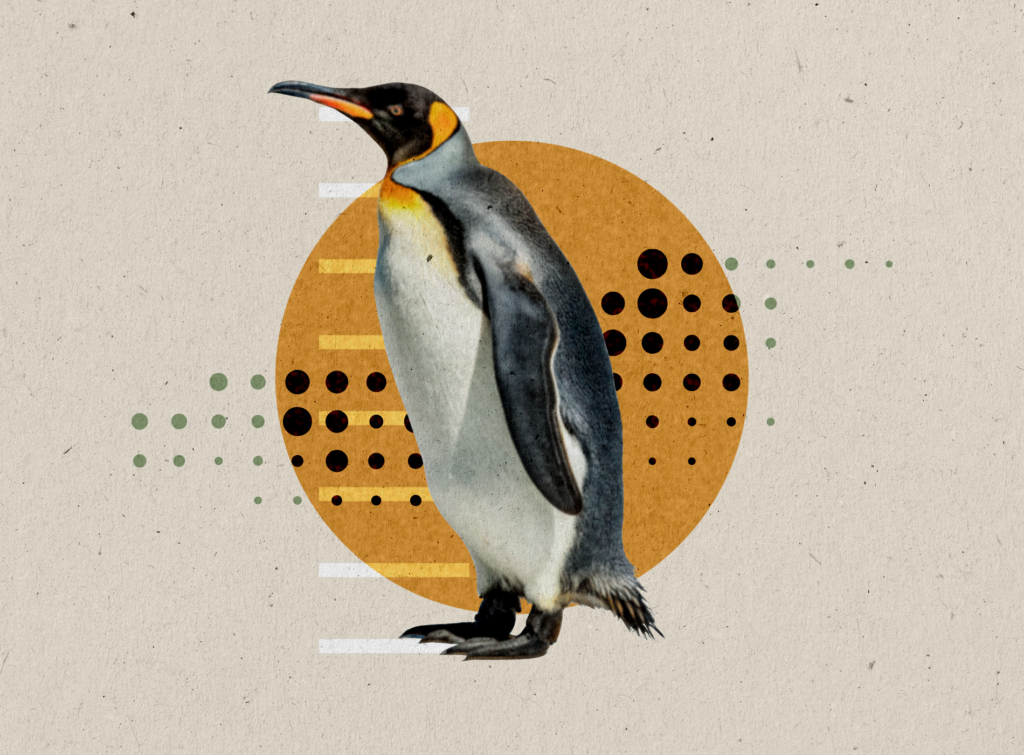 PENGUIN