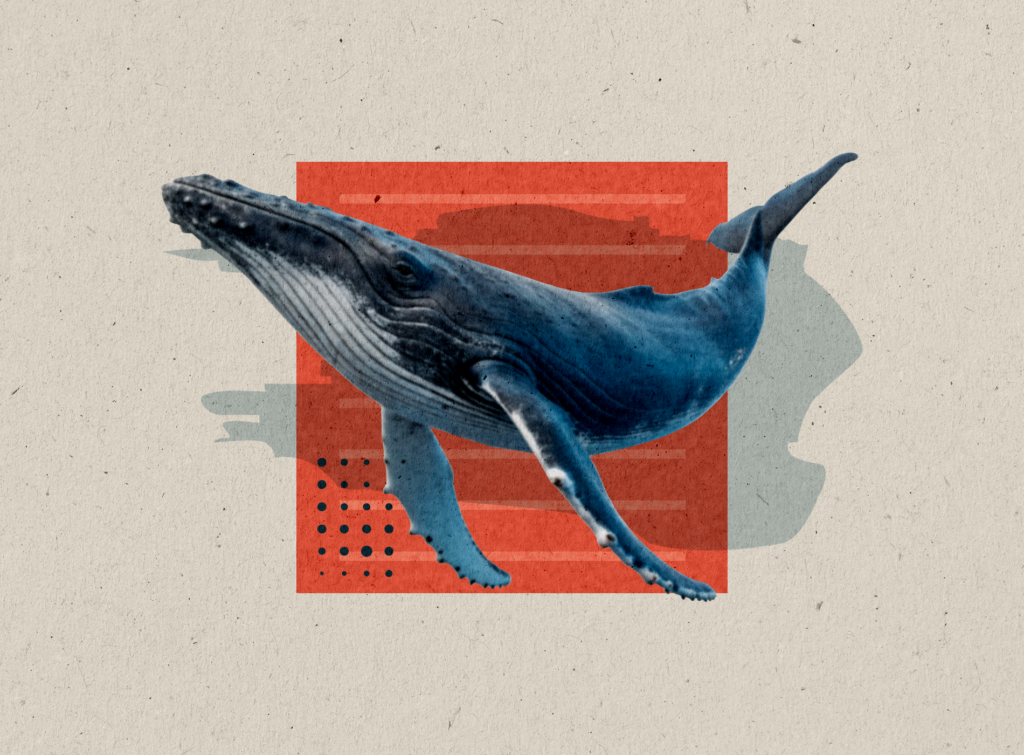 WHALE
